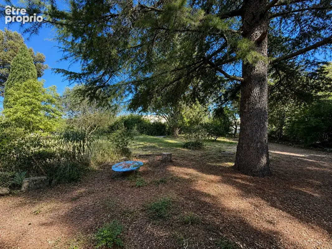 maison T6 de 135 m2 sur 1172 m2 de terrain - photo 3