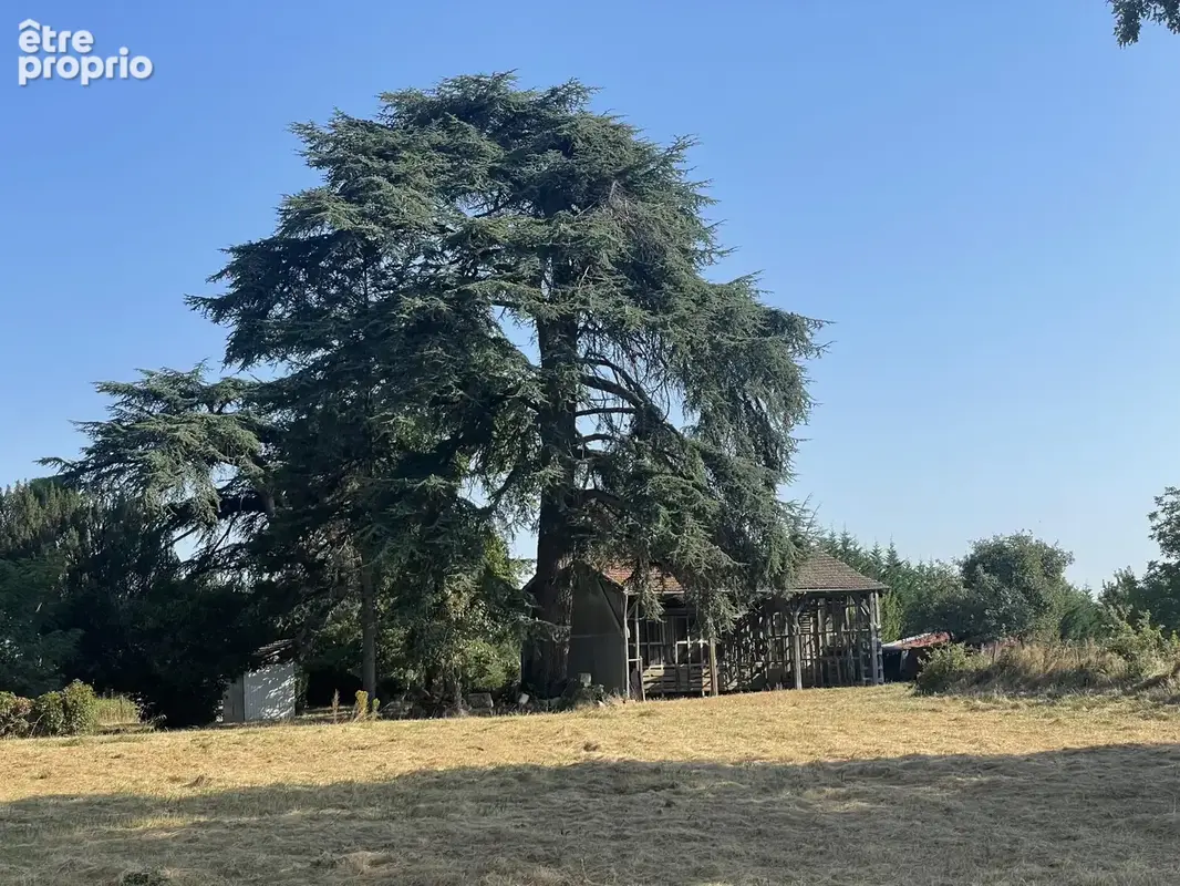 Maison a renover avec dependances sur 10ha  de terrain - photo 23