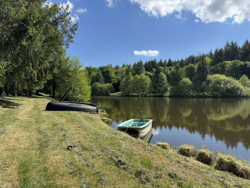 Ensemble de 2 grands etangs dans le morvan - photo 8