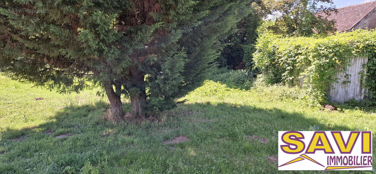 Terrain à FERRIERES-EN-GATINAIS