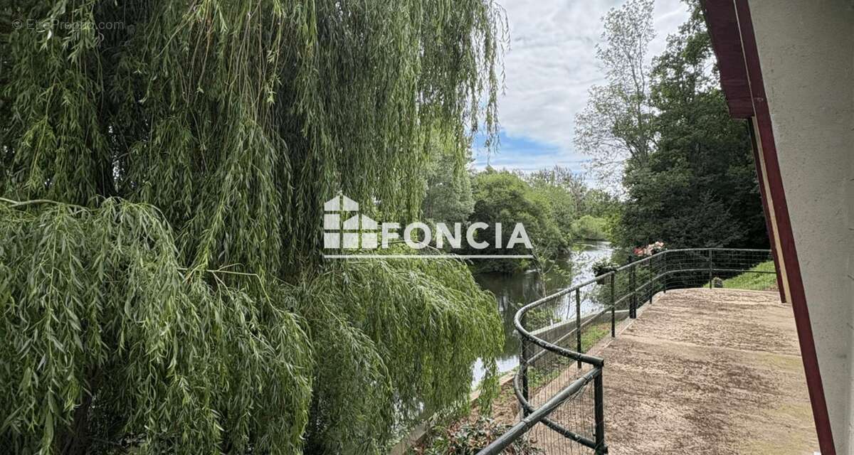 Au bord de l'eau - photo 4
