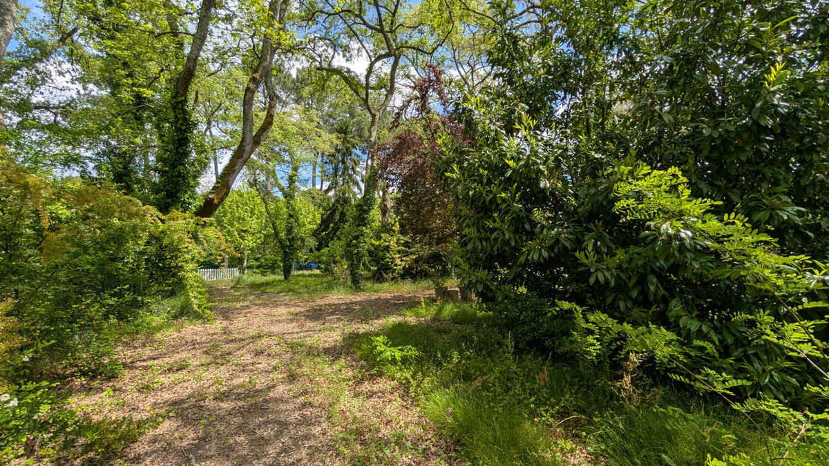 Terrain à MONT-DE-MARSAN