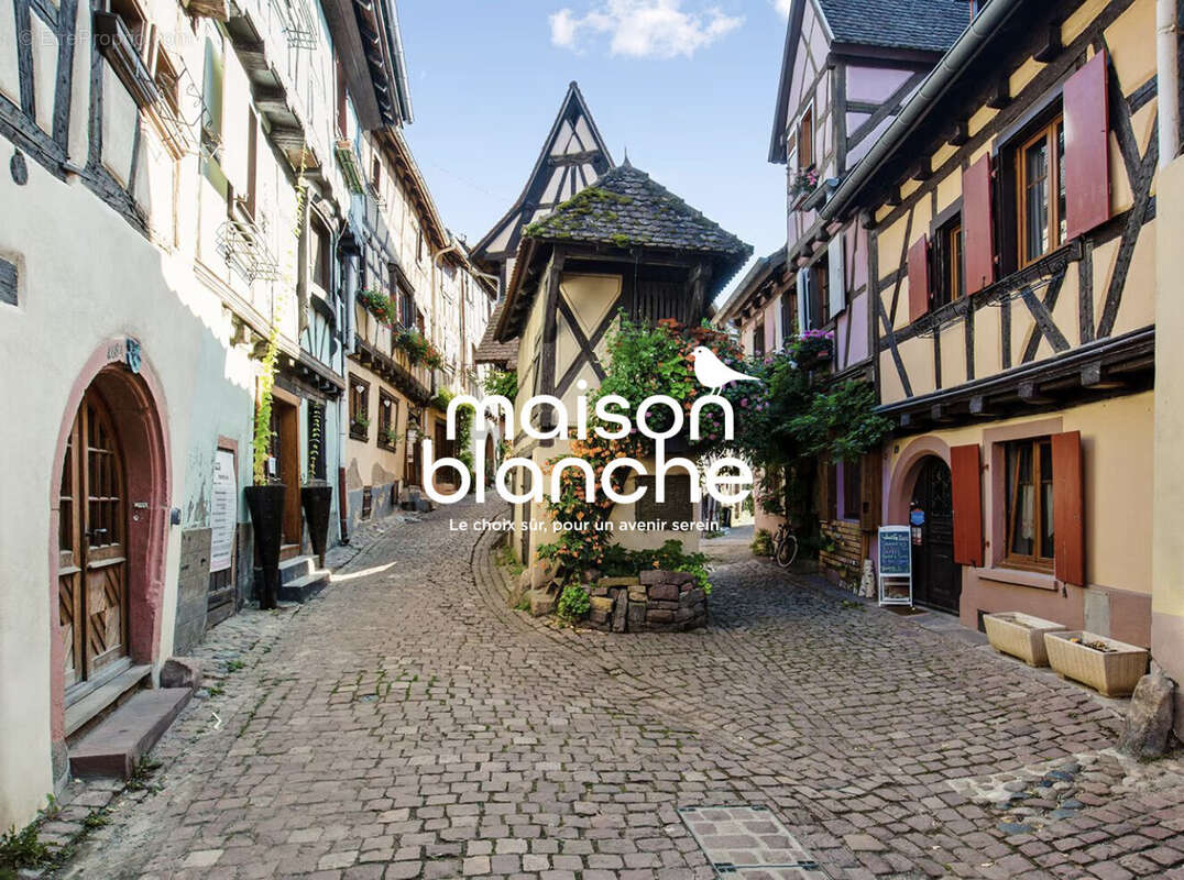 Appartement à EGUISHEIM