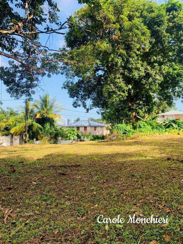 Terrain à CAPESTERRE-BELLE-EAU