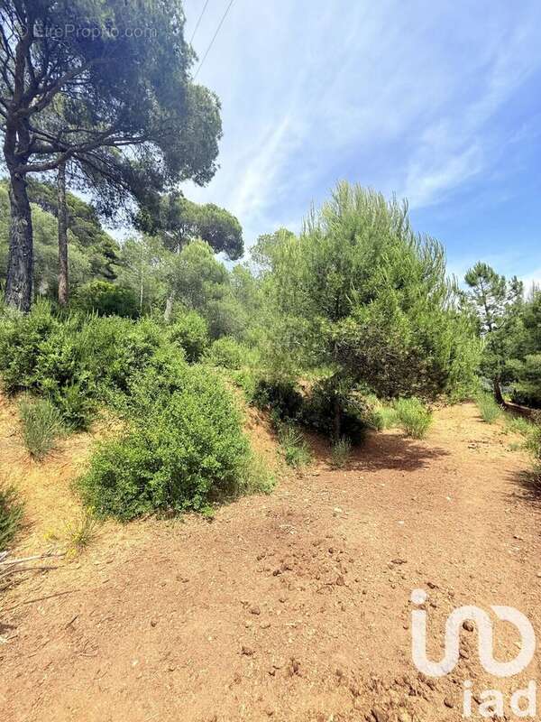 Photo 7 - Maison à SAINT-MARTIN-DU-VAR