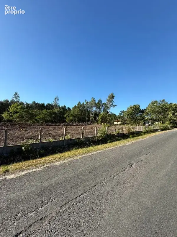 Terrain 750 m² à vendre à Lege-Cap-Ferret (33950) - photo 2