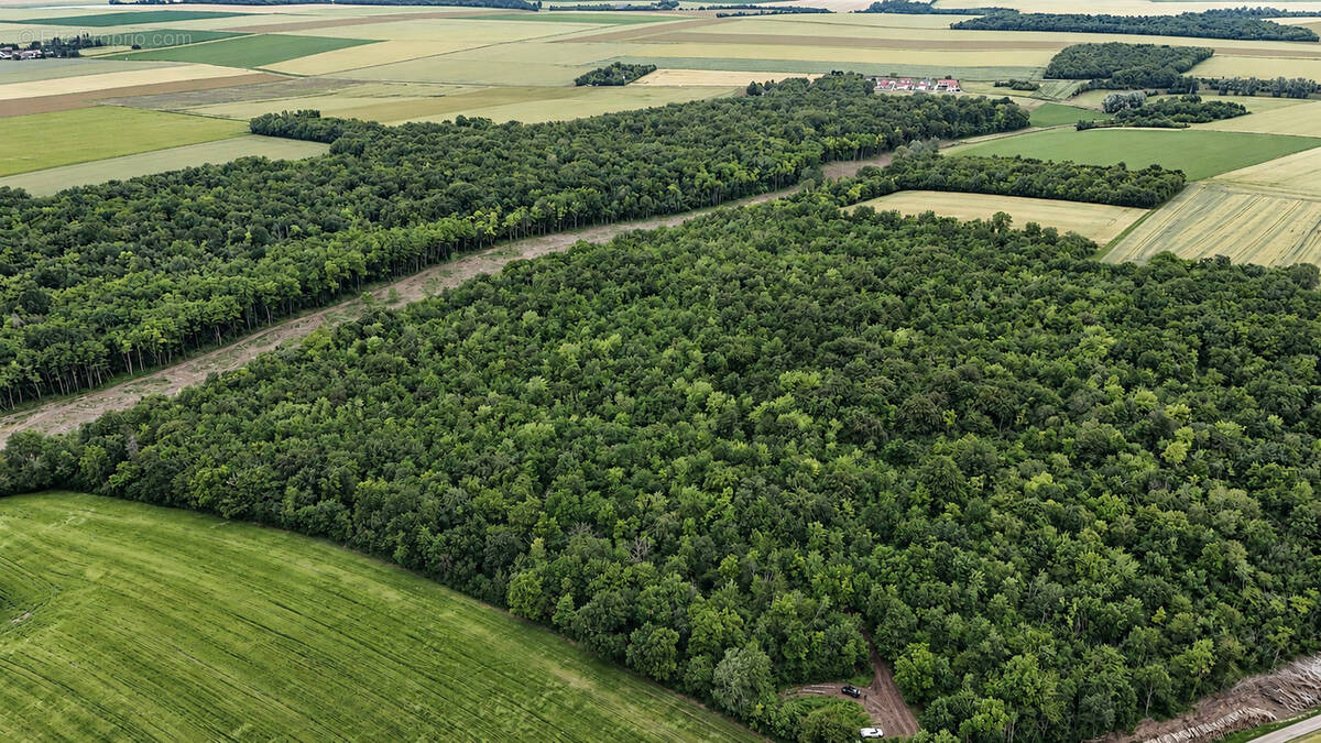 Terrain à AUTRUY-SUR-JUINE