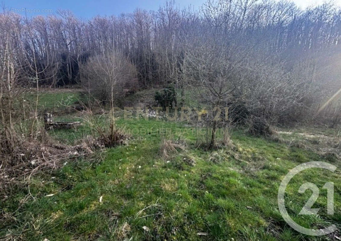 Terrain à CHATONNAY