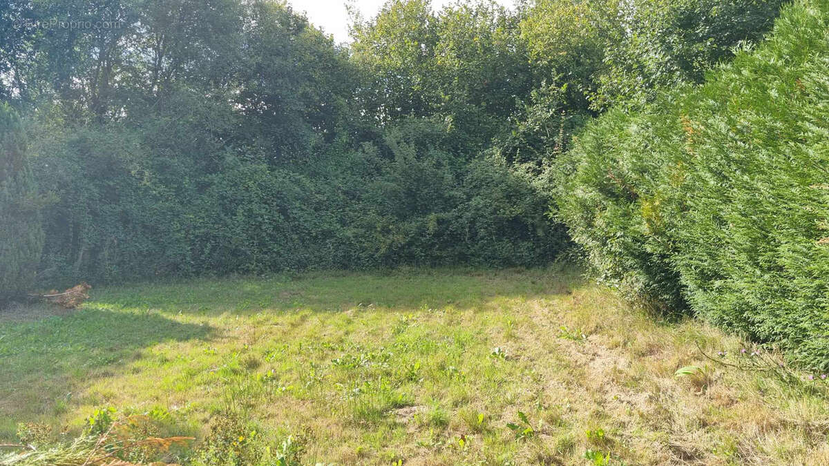 Maison à SAINT-CALAIS