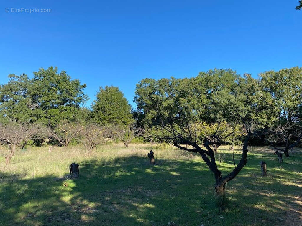 Terrain à UZES