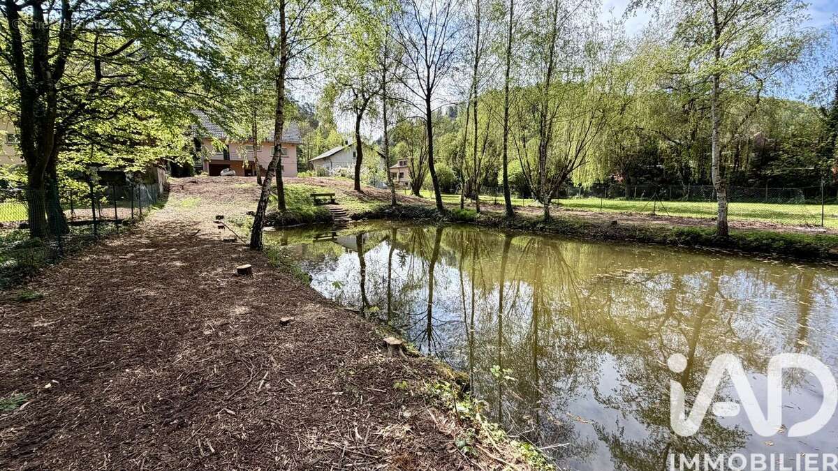 Photo 5 - Maison à LUTZELBOURG