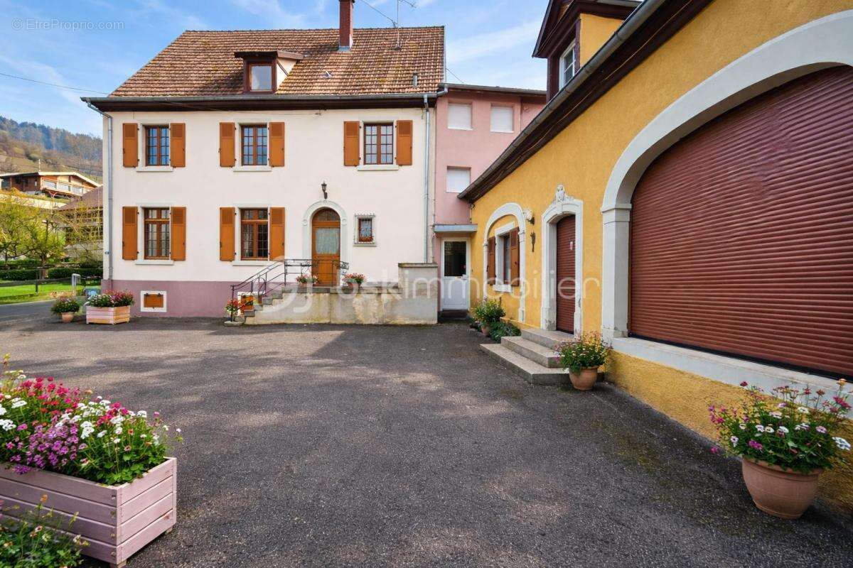 Maison à BREITENBACH-HAUT-RHIN