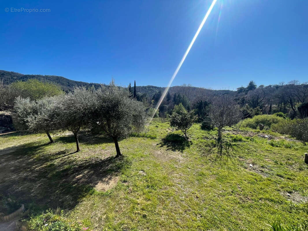 Maison à COLLOBRIERES