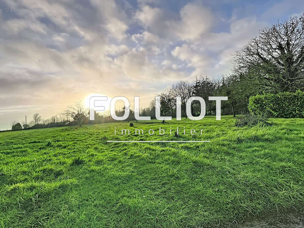 Maison à LINGREVILLE