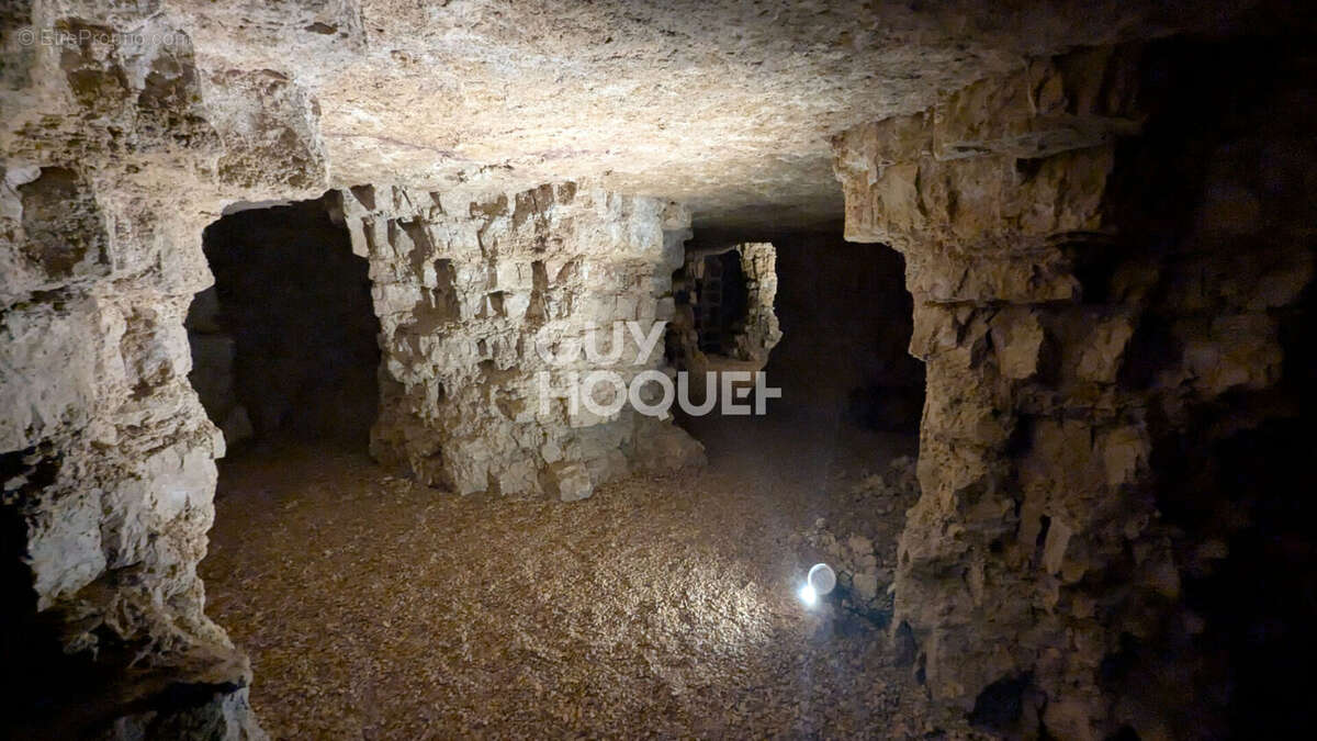 Maison à SAINT-BRIS-LE-VINEUX