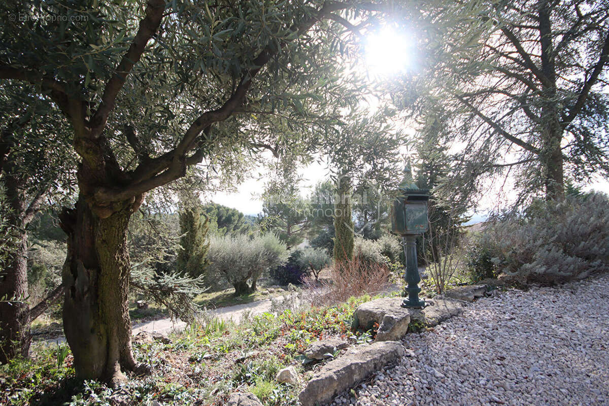 Maison à LE BARROUX