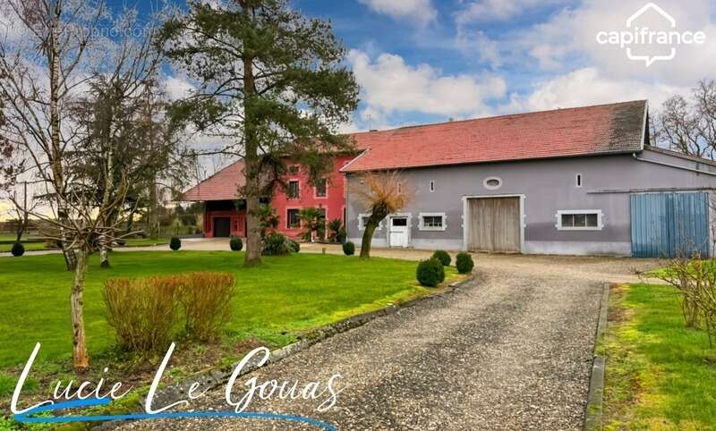 Ferme équestre - photo 12