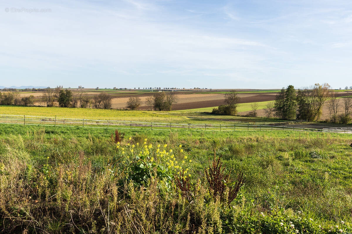Terrain à OSTHOFFEN
