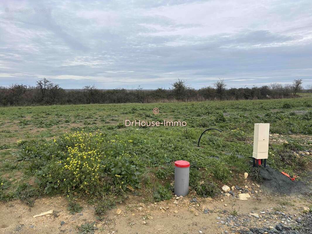 Terrain à CHAILLE-LES-MARAIS