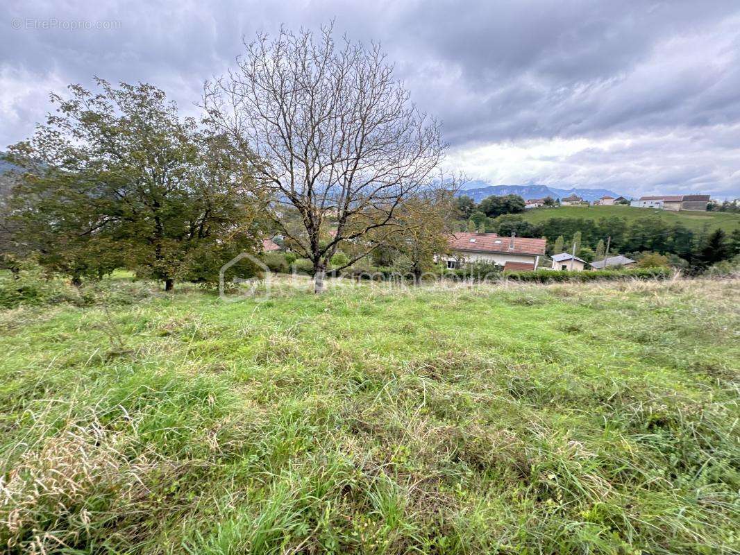 Annonce immobilière : Charmante propriété à rénover avec piscine à Voiron  Emplacement privilégié à 5 min de l'autoroute – Vue d - photo 2