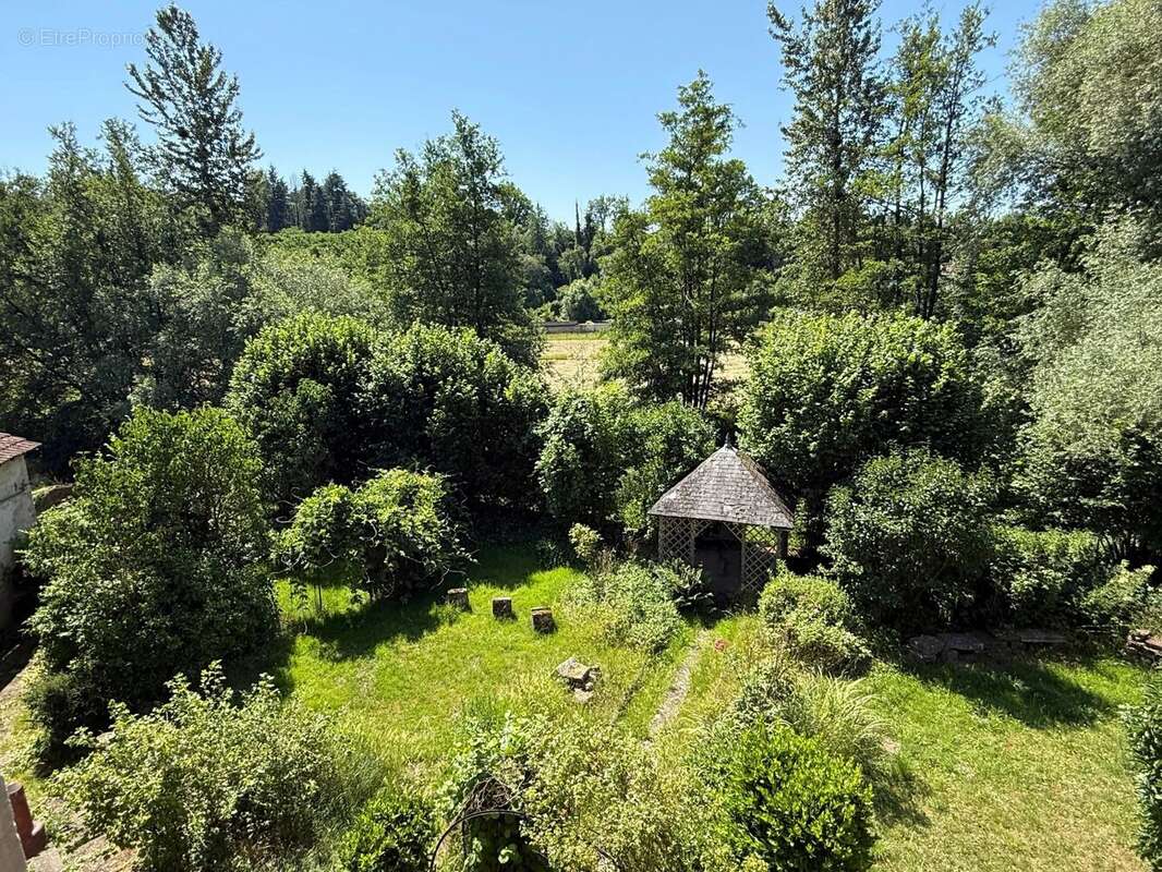 Magnifique manoir original dans un grand village avec toutes les commodités, situé au bord de la Saône - photo 26