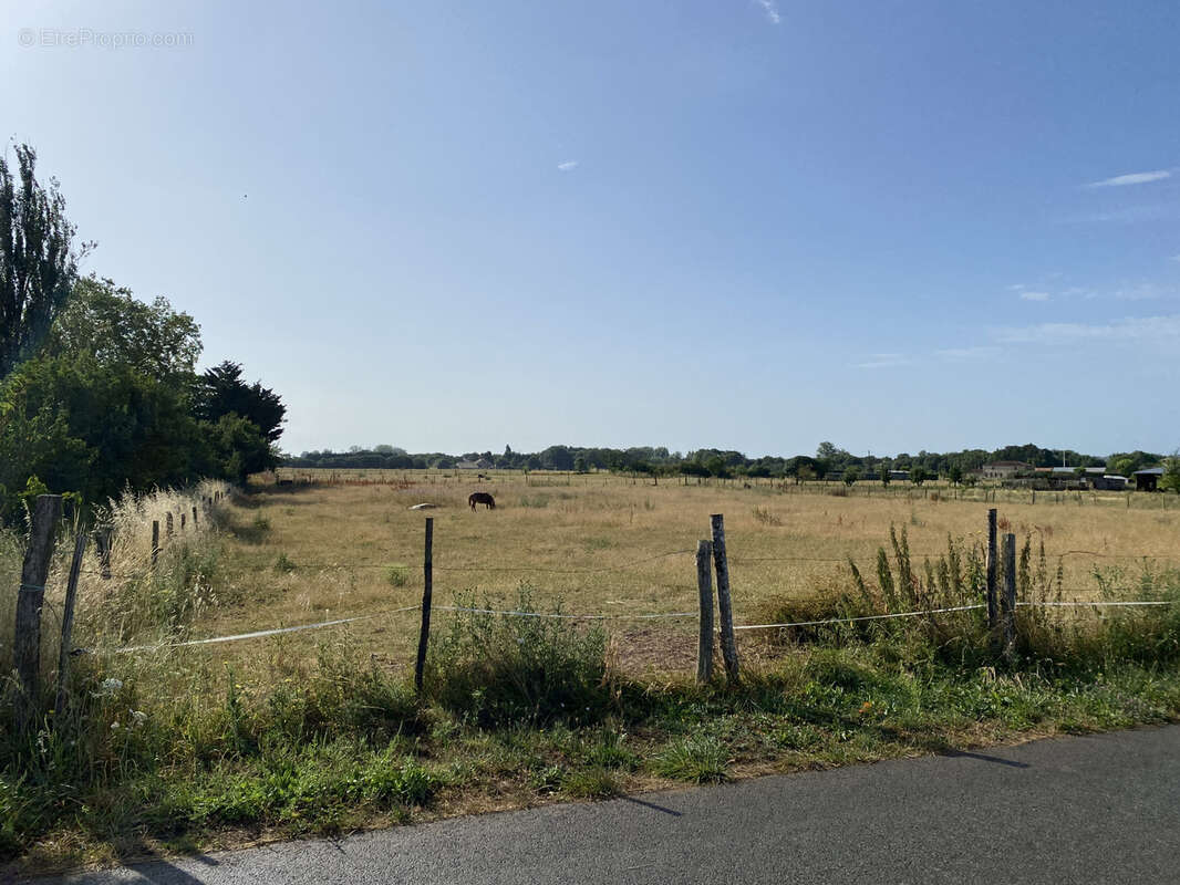 Terrain à LONGEVILLE-SUR-MER