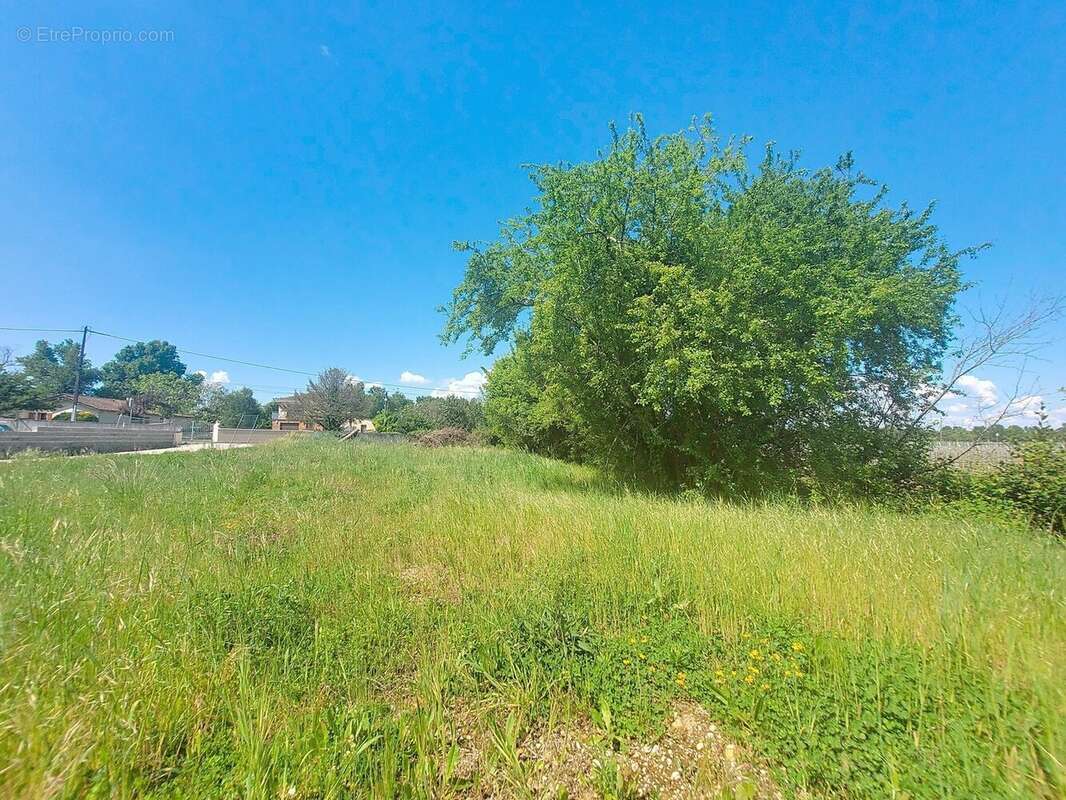 Maison à SAINTE-EULALIE