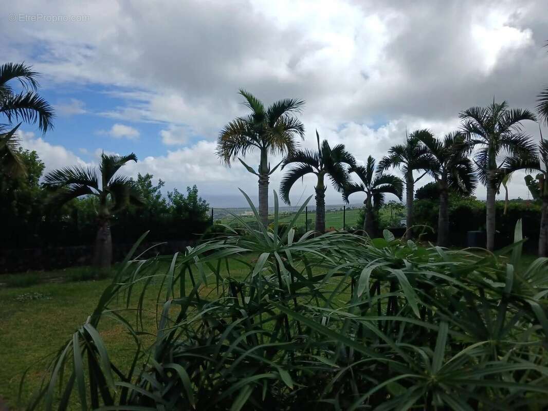 Appartement à SAINT-LOUIS