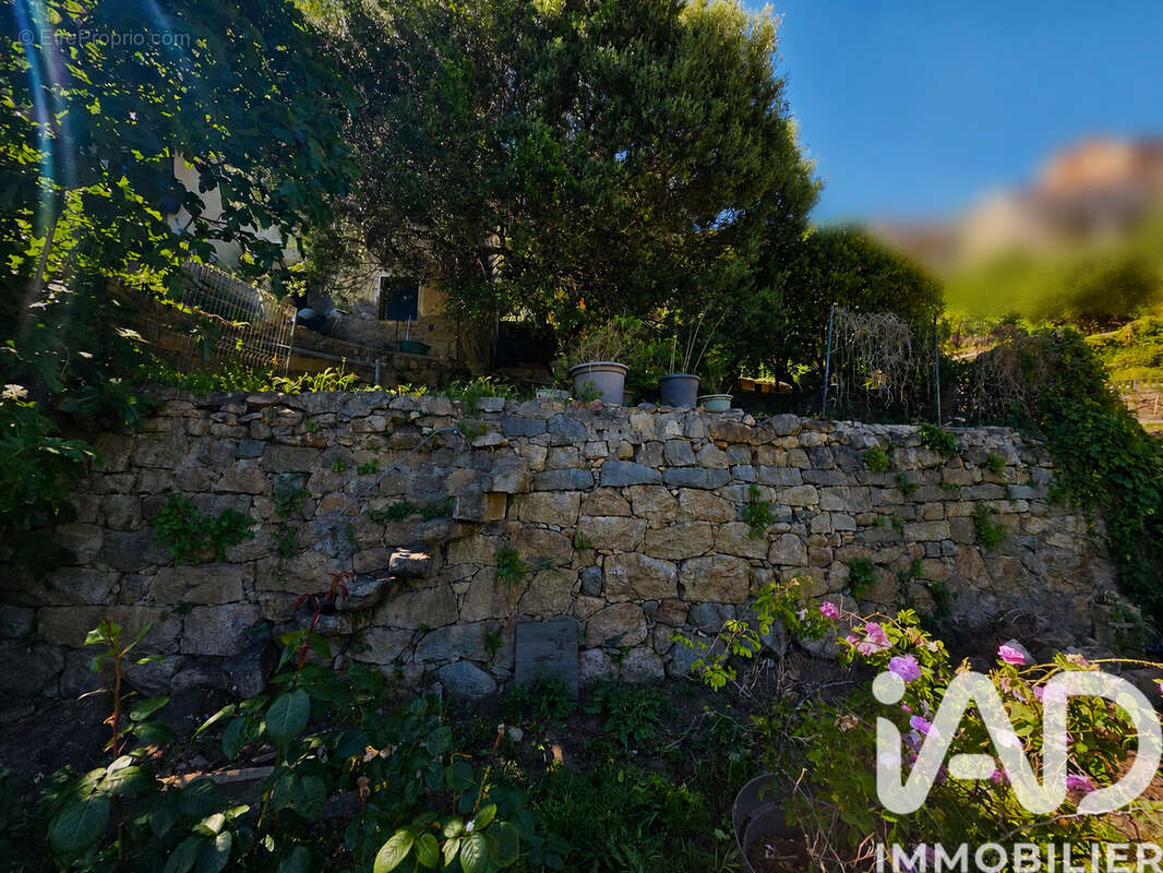 Photo 6 - Maison à OLMETO