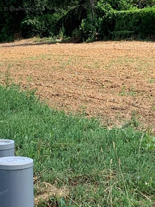 Terrain à SAINT-PERE-EN-RETZ