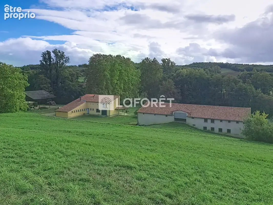 Propriété de 116 hectares !!!  20 minutes Est de Montauban - photo 12