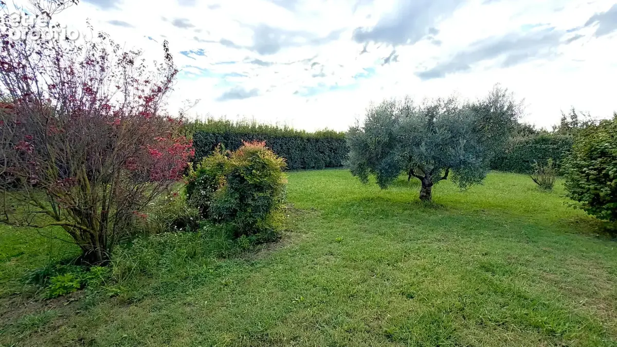 Villa de plain pied sur 5500 m² de terrain en campagne. - photo 20