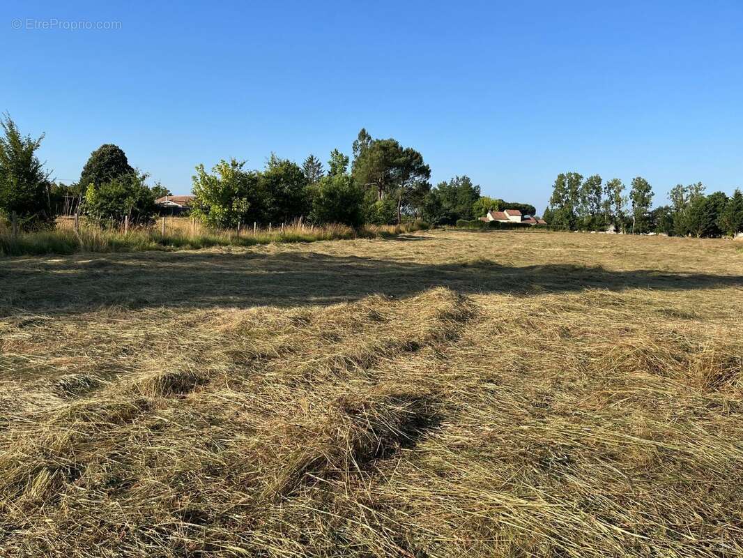 Terrain à SAINT-PIERRE-DE-MONS