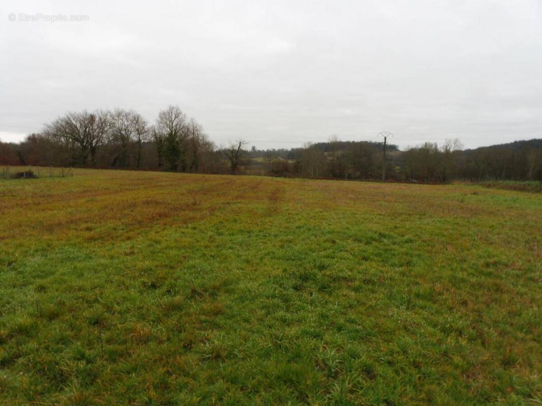 Terrain à MONTPEYROUX