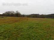 Terrain à MONTPEYROUX