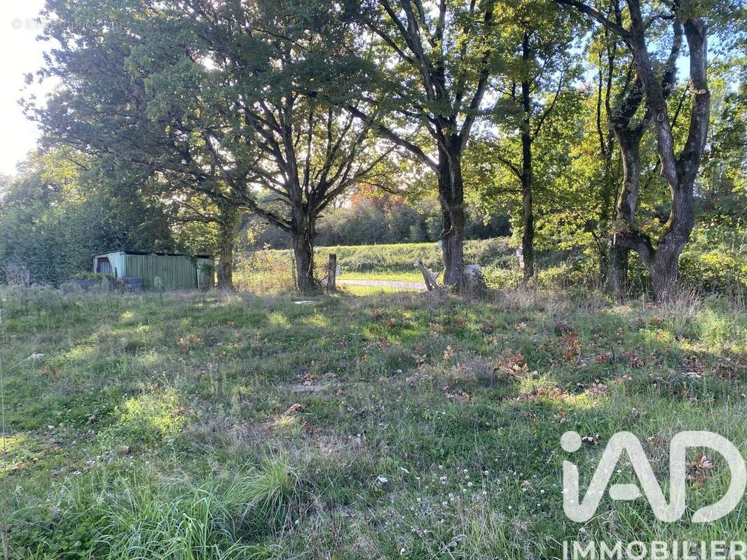 Photo 1 - Terrain à NOZAY