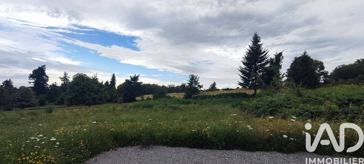 Photo 1 - Terrain à RAZES