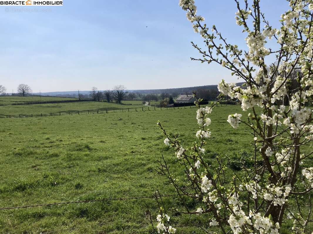 n°2 - Maison à REMILLY