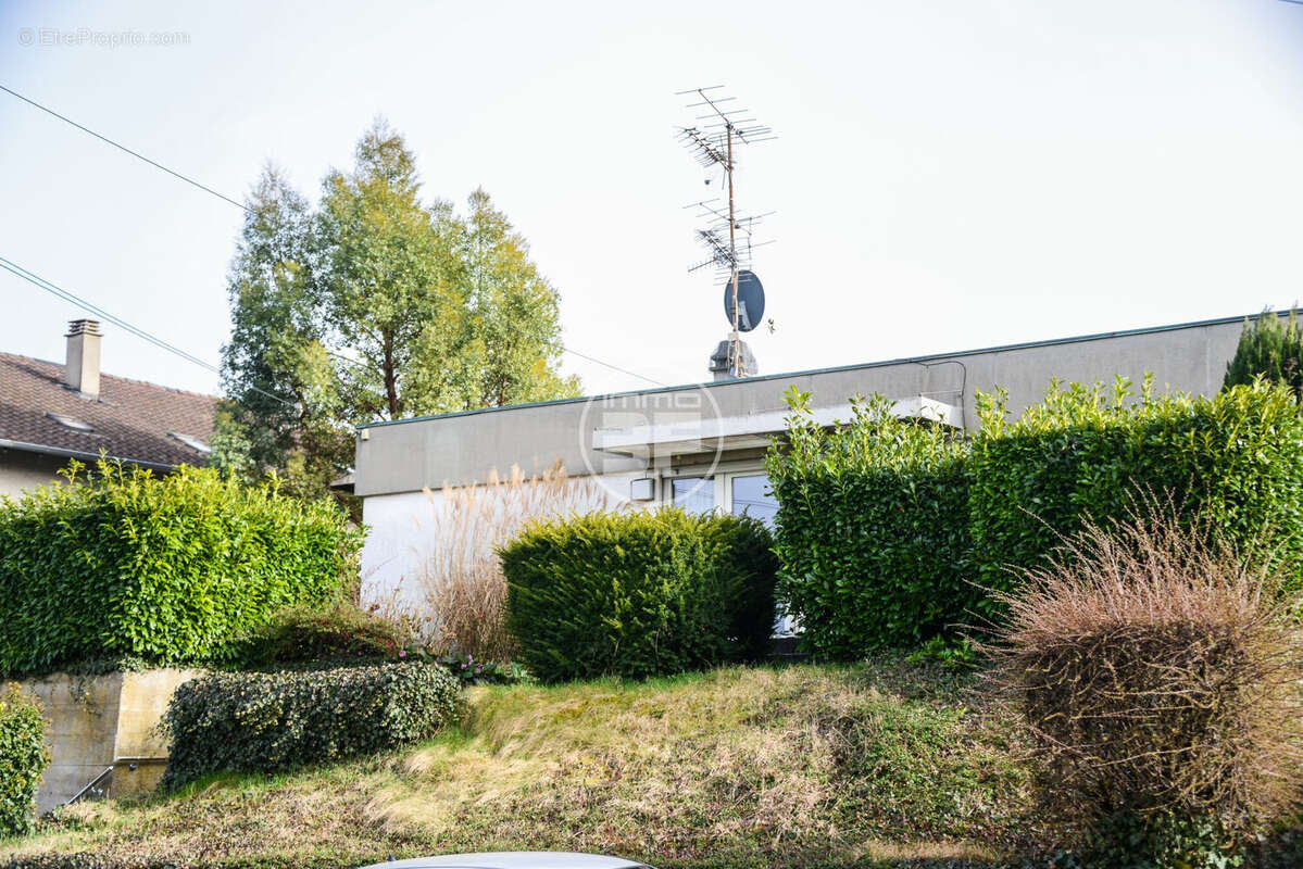 Maison à BUSCHWILLER