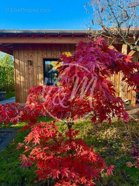 Maison à ANDERNOS-LES-BAINS