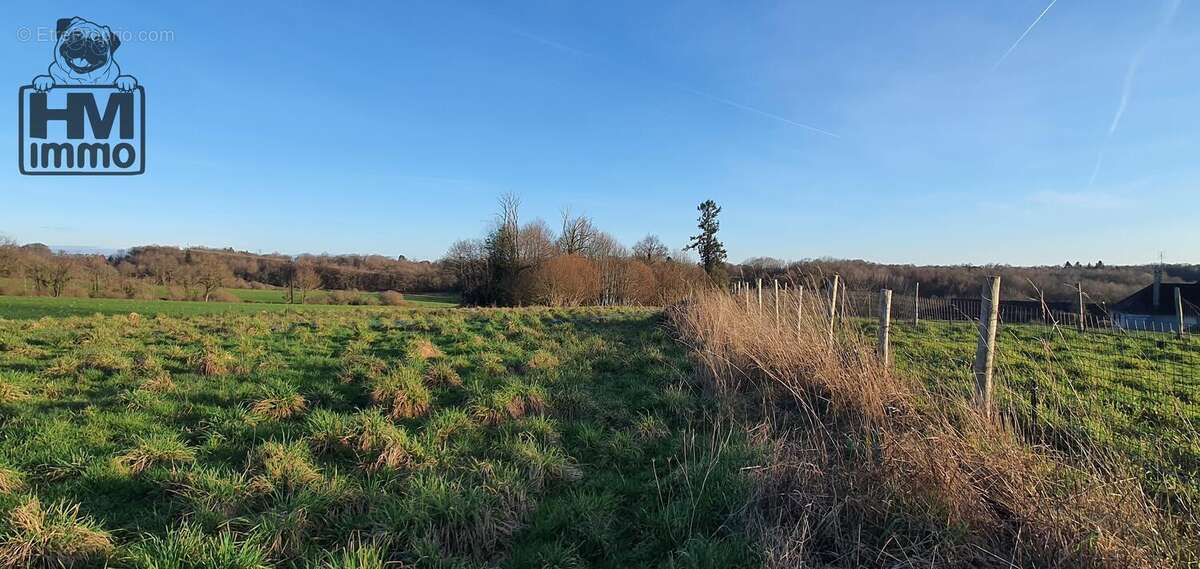 n°2 - Terrain à JUMILHAC-LE-GRAND