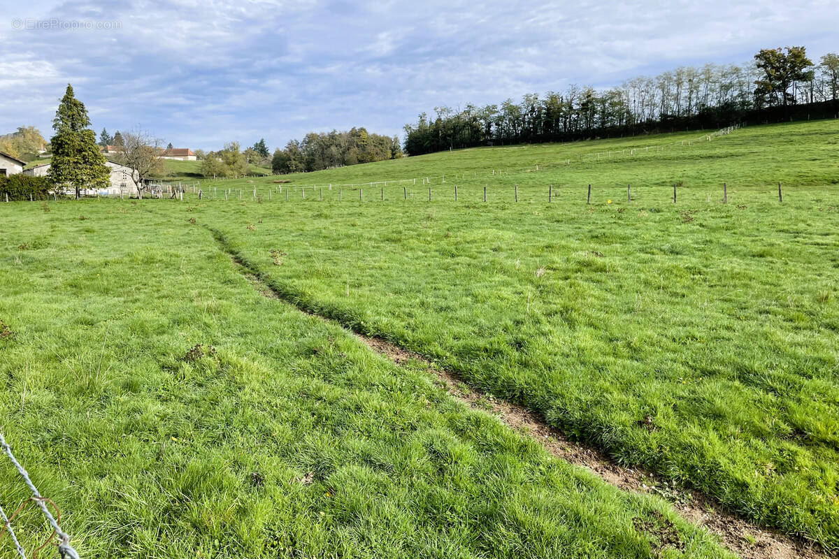 Terrain à VARENNE-SAINT-GERMAIN