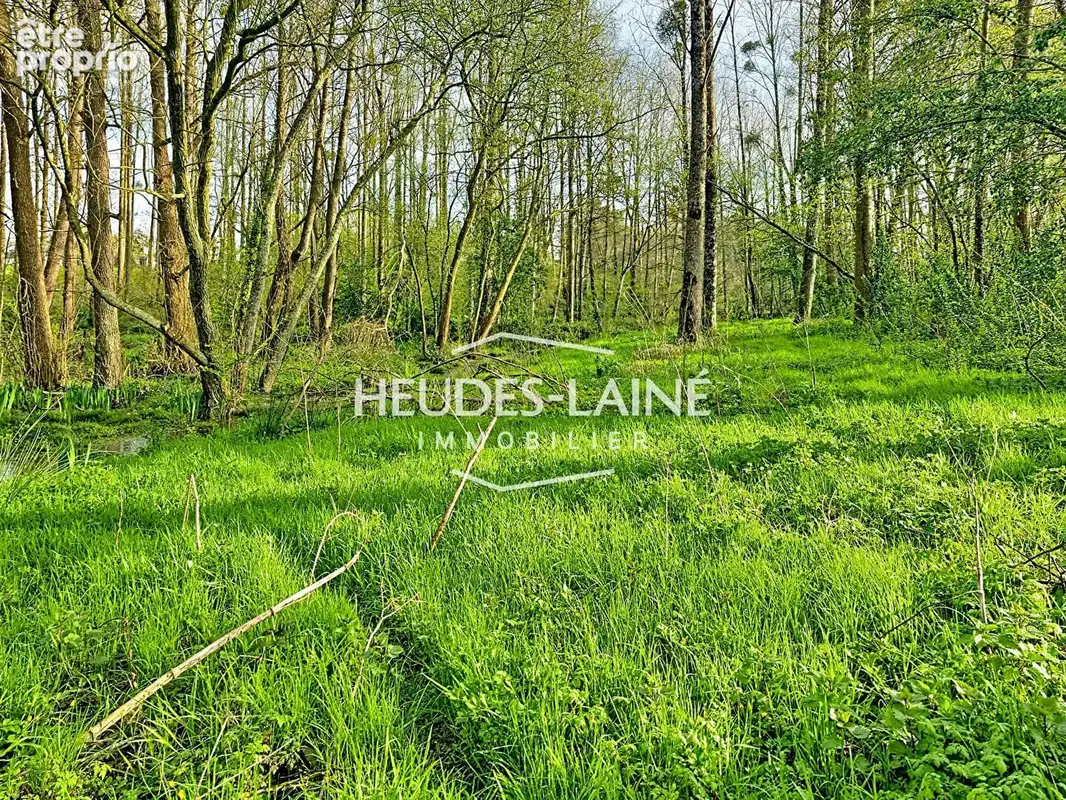 EXCLUSIVITÉ - Terrain avec étang - photo 3