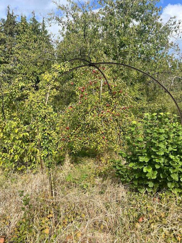 Photo 1 - Terrain à GERBEVILLER