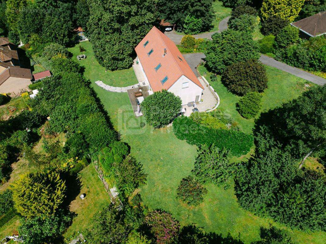 Bien rare à Labuissière - Maison avec vie de plain-pied, terrain boisé et environnement privilégié - photo 2