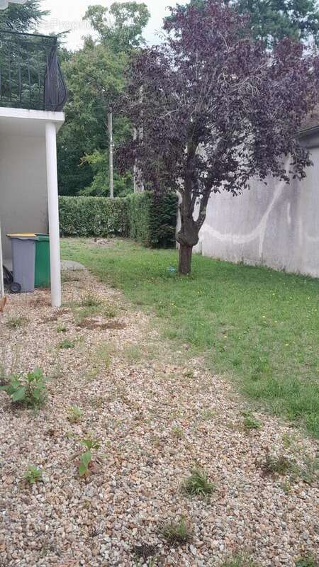 Photo 2 - Appartement à OLIVET