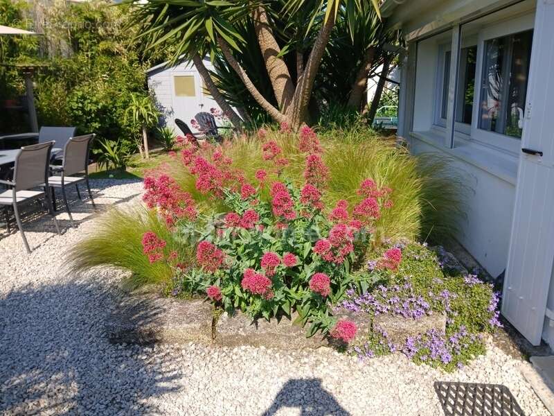 Maison à SAINT-MARTIN-DE-RE