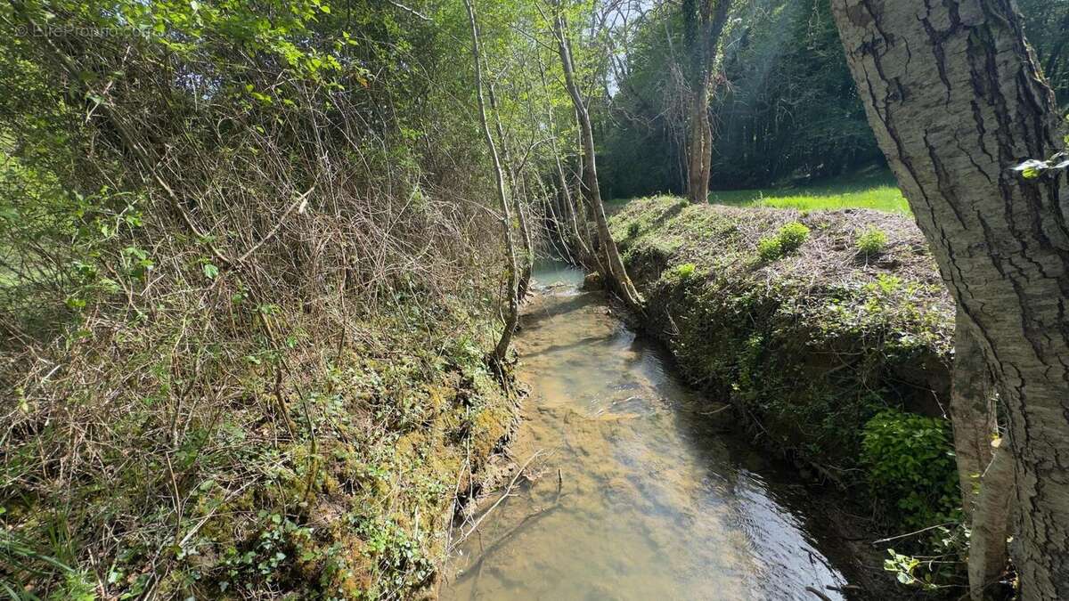 Photo 4 - Terrain à LES EYZIES-DE-TAYAC-SIREUIL
