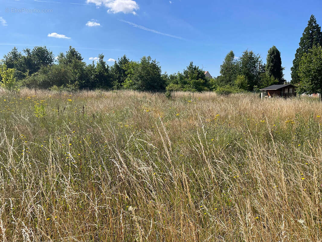 Terrain à NOGENT-LE-ROI