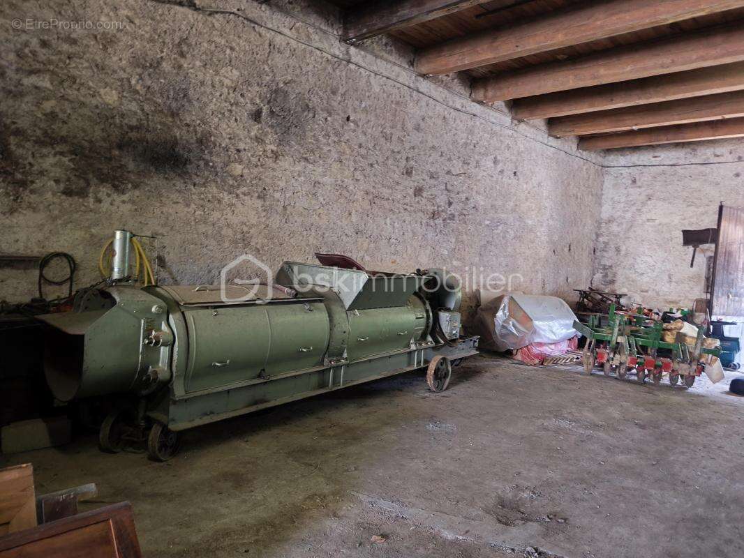 cave vinicole - photo 16